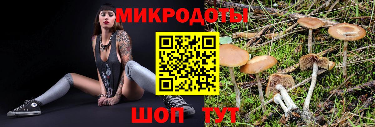 закладка  Псилоцибиновые грибы мухоморы  Тулун  Вход с VPN  Галлюциногенные грибы Psilocybine cubensis 