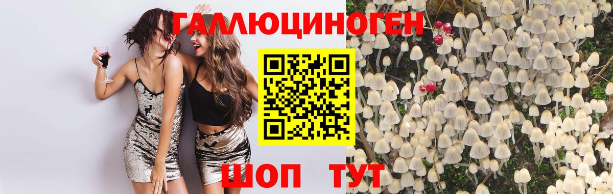 Галлюциногенные грибы прущие грибы Тулун